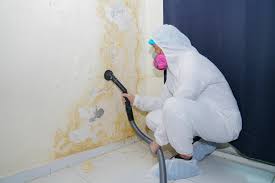 Best Mold Removal for HVAC Installations  in Francisville, KY